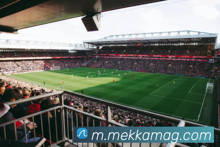 App Interface Preview