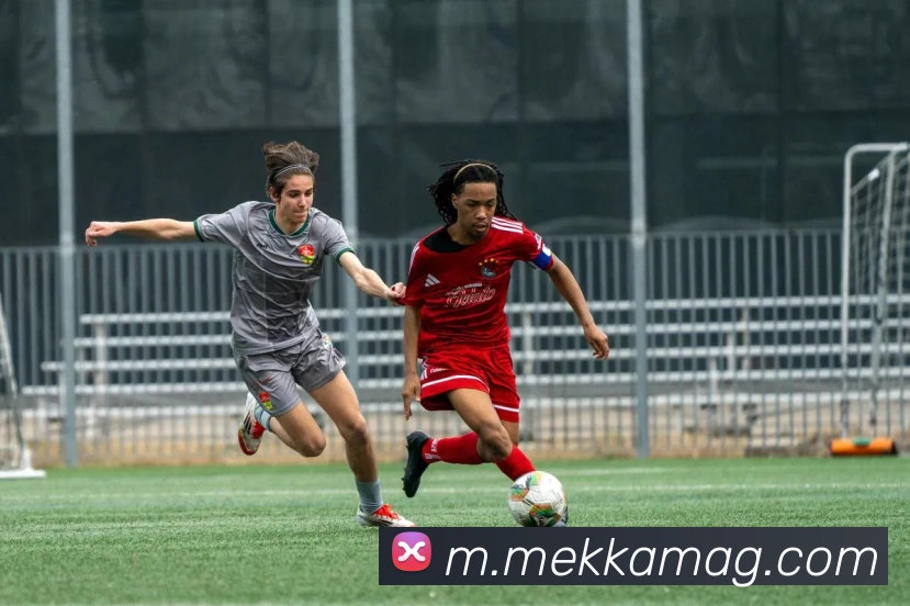 登录器
